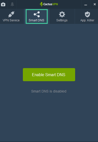 Smart DNS tabblad van de app van CactusVPN