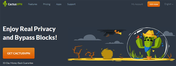 Homepage van CactusVPN
