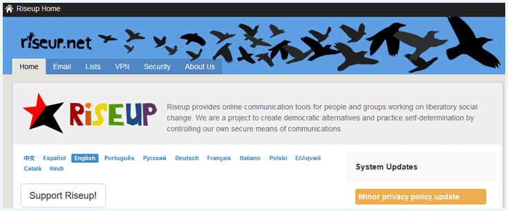 Homepage van Rise Up met menu en introtekst