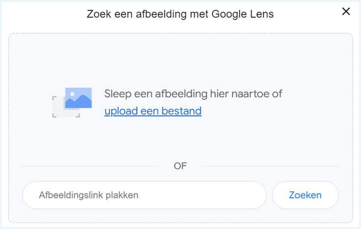 screenshot van Google Lens zoeken naar afbeeldingen