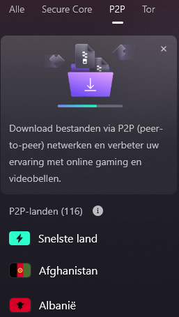 Overzicht van P2P servers in het menu van Proton VPN