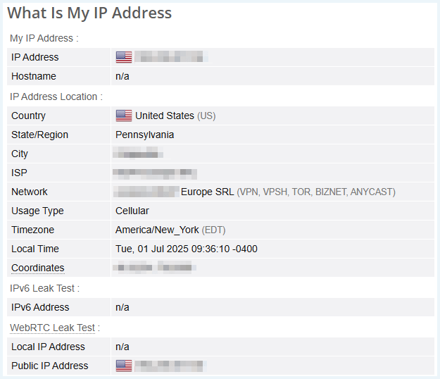 Screenshot van de resultaten van de IP-lektest