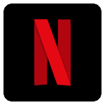Netflix Icon Klein