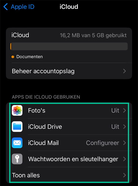 iPhone scherm