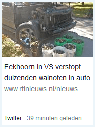 Screenshot van een Tweet van RTL Nieuws