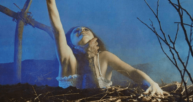 The Evil Dead banner IMDb